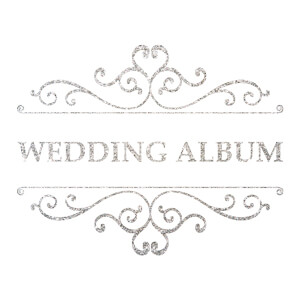 Wedding Album. Серебро