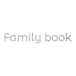 Family Book. Серебро